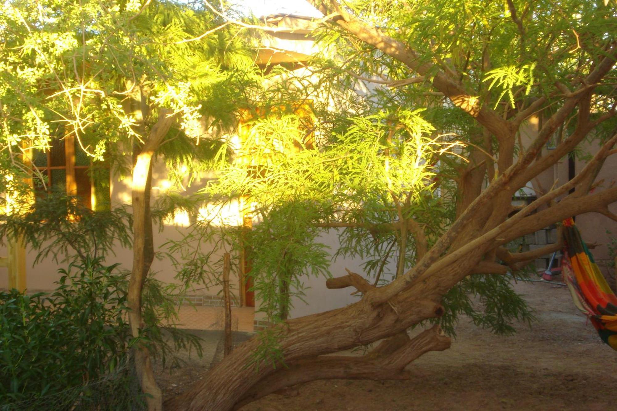 Hostal Candelaria San Pedro de Atacama Exterior foto